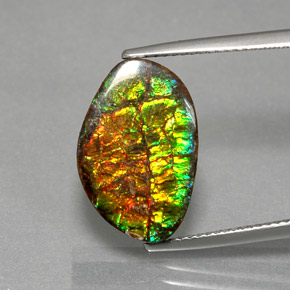 Ammolite Multicolore naturelle Forme fantaisie, 7.40 ct, Opaque