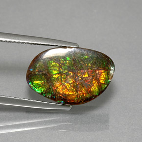 Ammolite Multicolore naturelle Forme fantaisie, 7.40 ct, Opaque