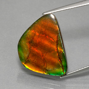 Ammolite Multicolore naturelle Forme fantaisie, 9.79 ct, Opaque