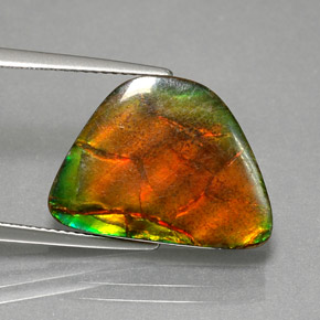 Ammolite Multicolore naturelle Forme fantaisie, 9.79 ct, Opaque