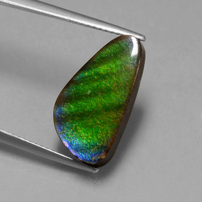 Ammolite Multicolore naturelle Forme fantaisie, 6.53 ct, Opaque