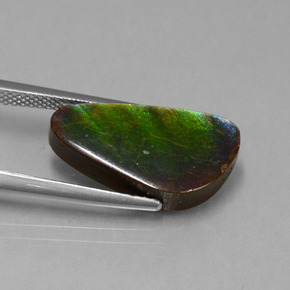 Ammolite Multicolore naturelle Forme fantaisie, 6.53 ct, Opaque