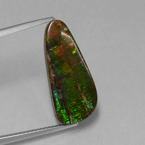 Ammolite Multicolore naturelle Forme fantaisie, 7.96 ct, Opaque