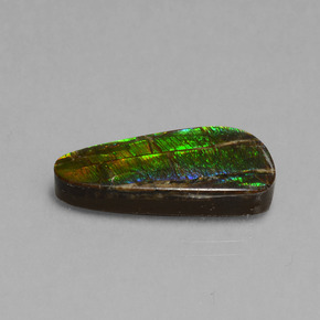 Ammolite Multicolore naturelle Forme fantaisie, 7.96 ct, Opaque