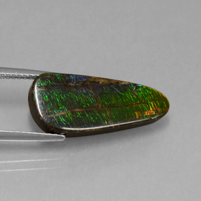 Ammolite Multicolore naturelle Forme fantaisie, 7.96 ct, Opaque