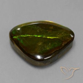 Ammolite Multicolore naturelle Fantaisie, 14.70 ct, Opaque