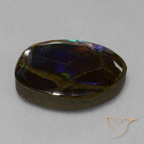 Ammolite Multicolore naturelle Fantaisie, 13.58 ct, Opaque