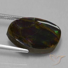 Ammolite Multicolore naturelle Fantaisie, 13.58 ct, Opaque