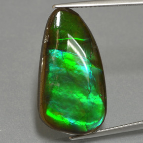 Ammolite Multicolore naturelle Forme fantaisie, 12.83 ct, Opaque