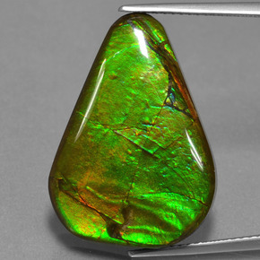 Ammolite Multicolore naturelle Forme fantaisie, 17.46 ct, Opaque