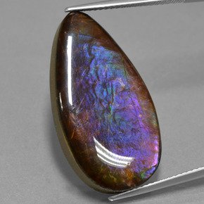 Ammolite Multicolore naturelle En forme de poire, 19.47 ct, Opaque