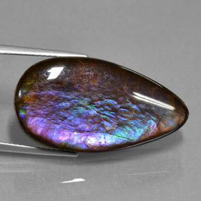 Ammolite Multicolore naturelle En forme de poire, 19.47 ct, Opaque