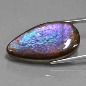 Ammolite Multicolore naturelle En forme de poire, 19.47 ct, Opaque