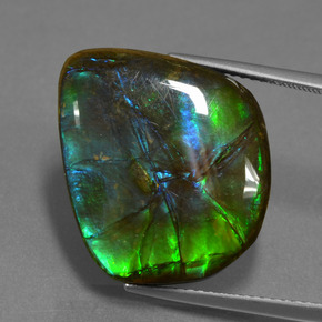 Ammolite multicolore naturelle forme fantaisie, 15,30 ct, opaque