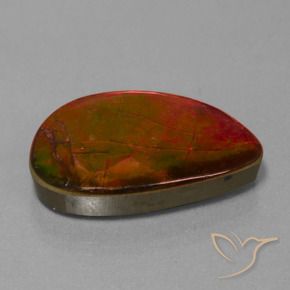Ammolite Multicolore naturelle Fantaisie, 18.53 ct, Opaque