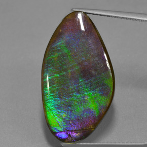 Ammolite Multicolore naturelle Forme fantaisie, 17.25 ct, Opaque