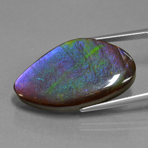 Ammolite Multicolore naturelle Forme fantaisie, 17.25 ct, Opaque