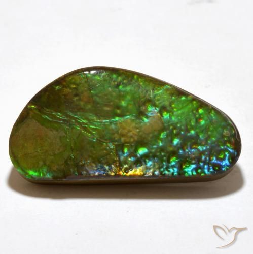 Ammolite Multicolore naturelle Fantaisie, 16.81 ct, Opaque