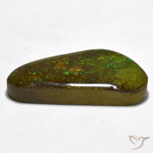 Ammolite Multicolore naturelle Fantaisie, 16.81 ct, Opaque