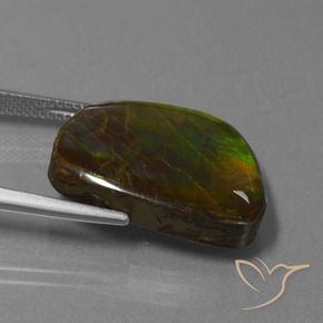 Ammolite Multicolore naturelle Fantaisie, 17.11 ct, Opaque