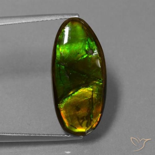 Ammolite Multicolore naturelle Fantaisie, 10.85 ct, Opaque