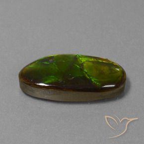 Ammolite Multicolore naturelle Fantaisie, 10.85 ct, Opaque