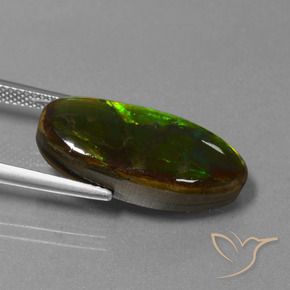Ammolite Multicolore naturelle Fantaisie, 10.85 ct, Opaque
