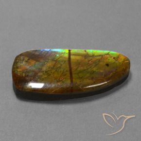 Ammolite Multicolore naturelle Fantaisie, 13.89 ct, Opaque