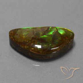 Ammolite Multicolore naturelle Fantaisie, 11.30 ct, Opaque