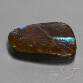 Ammolite Multicolore naturelle Fantaisie, 23.98 ct, Opaque