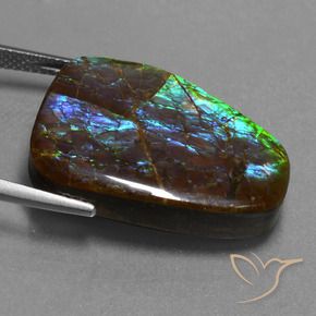 Ammolite Multicolore naturelle Fantaisie, 23.98 ct, Opaque