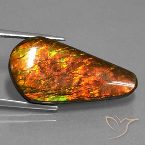 Ammolite Multicolore naturelle Fantaisie, 14.87 ct, Opaque