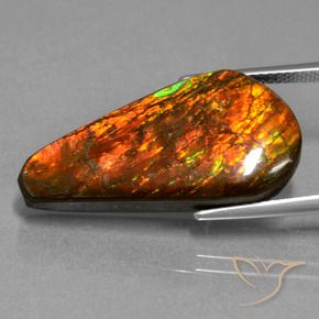 Ammolite Multicolore naturelle Fantaisie, 14.87 ct, Opaque