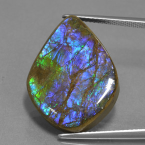 Ammolite multicolore naturelle forme fantaisie, 18,07 ct, opaque