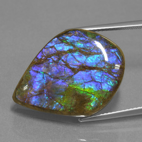 Ammolite multicolore naturelle forme fantaisie, 18,07 ct, opaque