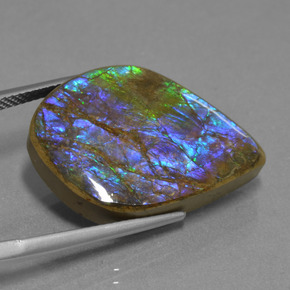 Ammolite multicolore naturelle forme fantaisie, 18,07 ct, opaque