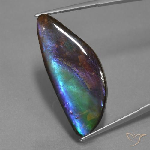 Ammolite multicolore naturelle forme fantaisie, 21,30 ct, opaque