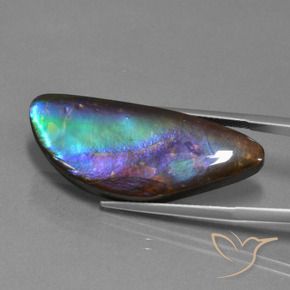 Ammolite multicolore naturelle forme fantaisie, 21,30 ct, opaque