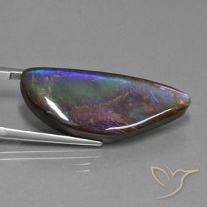 Ammolite multicolore naturelle forme fantaisie, 21,30 ct, opaque