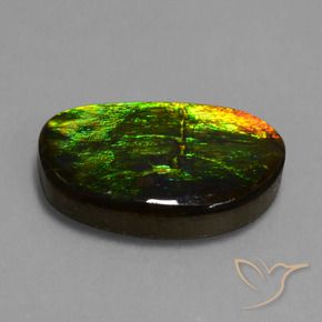 Ammolite Multicolore naturelle Fantaisie, 17.20 ct, Opaque