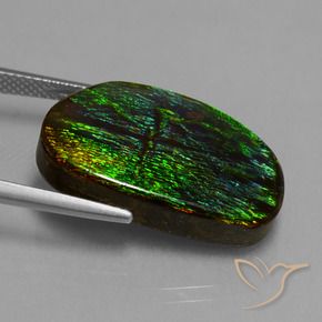 Ammolite Multicolore naturelle Fantaisie, 17.20 ct, Opaque
