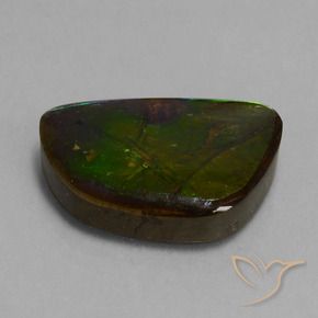Ammolite Multicolore naturelle Fantaisie, 14.74 ct, Opaque