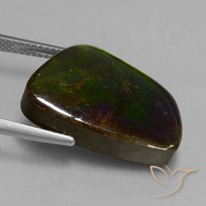 Ammolite Multicolore naturelle Fantaisie, 14.74 ct, Opaque