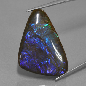 Ammolite Multicolore naturelle Forme fantaisie, 22.64 ct, Opaque