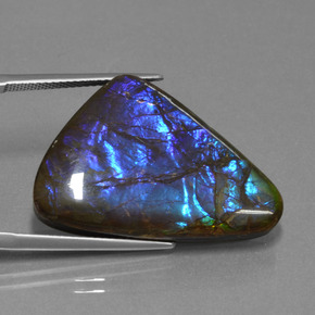 Ammolite Multicolore naturelle Forme fantaisie, 22.64 ct, Opaque