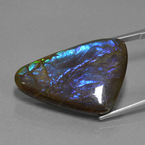 Ammolite Multicolore naturelle Forme fantaisie, 22.64 ct, Opaque