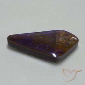 Ammolite Multicolore naturelle Fantaisie, 19.82 ct, Opaque
