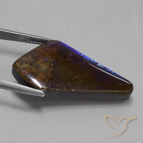 Ammolite Multicolore naturelle Fantaisie, 19.82 ct, Opaque