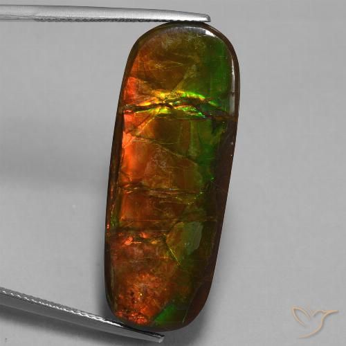 Ammolite Multicolore naturelle Fantaisie, 24.02 ct, Opaque