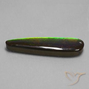 Ammolite Multicolore naturelle Fantaisie, 19.66 ct, Opaque